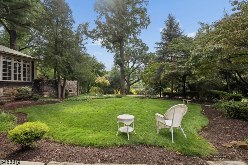 large yard