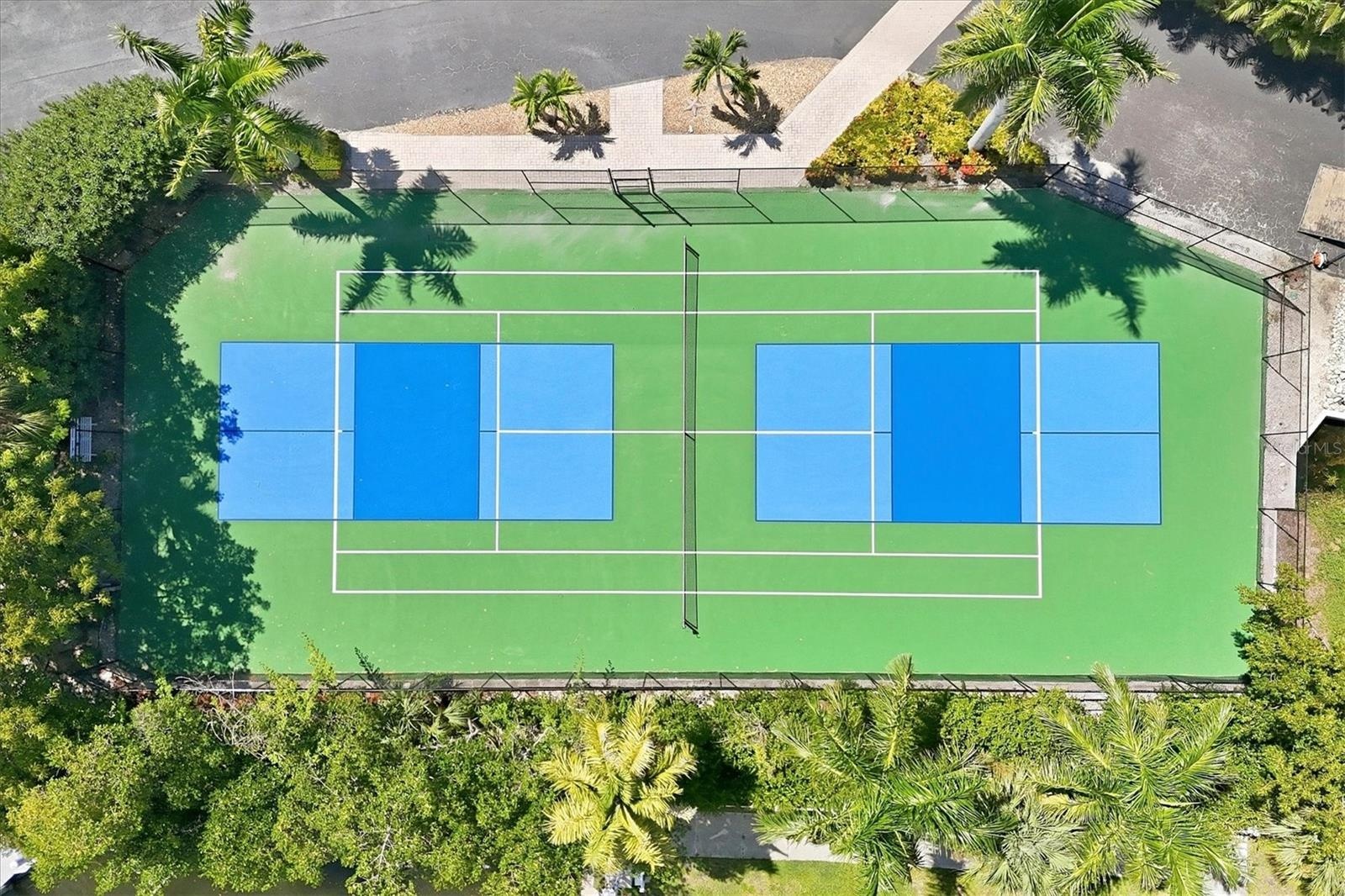 Tennis or Pickleball