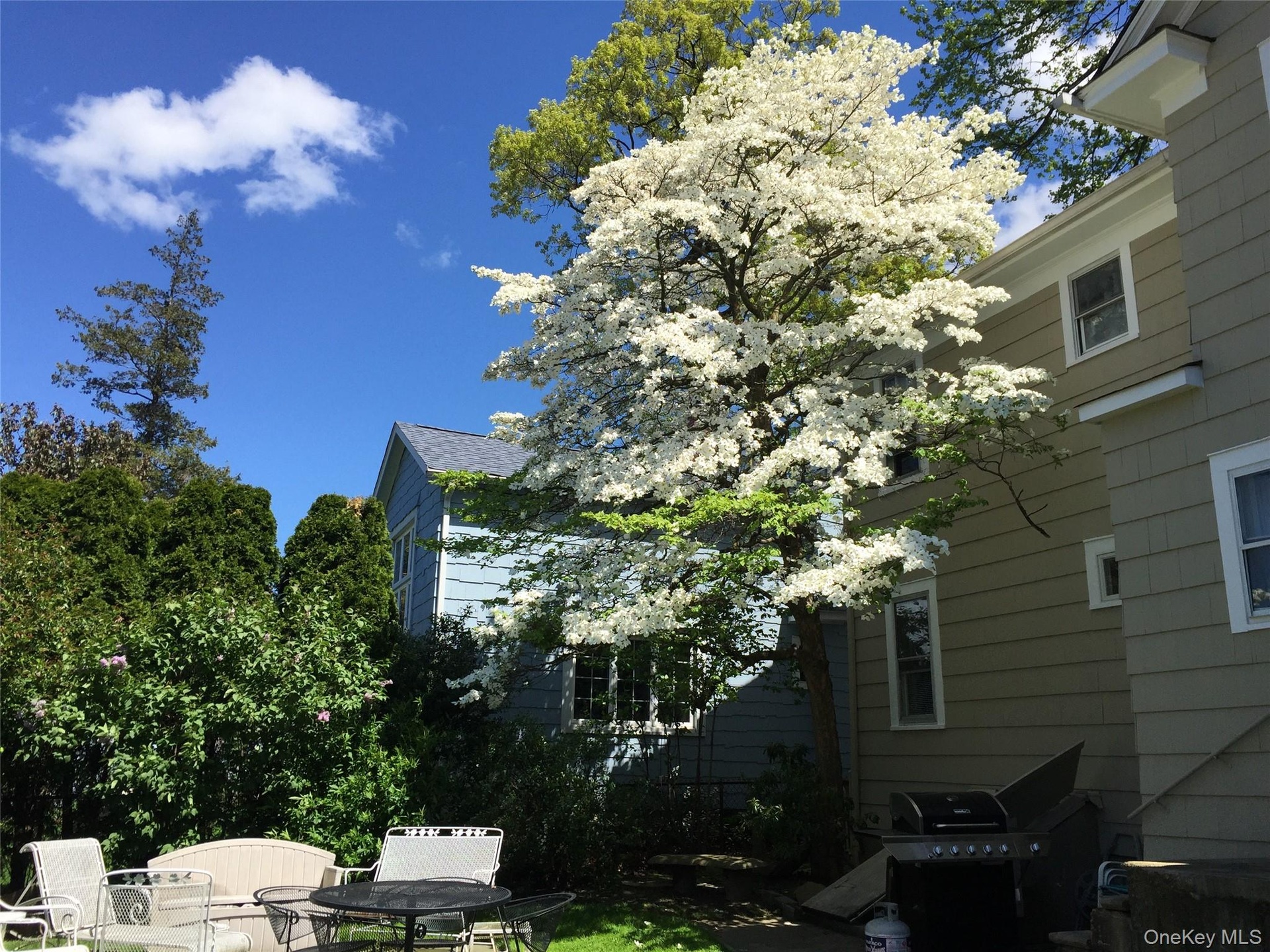 Yard