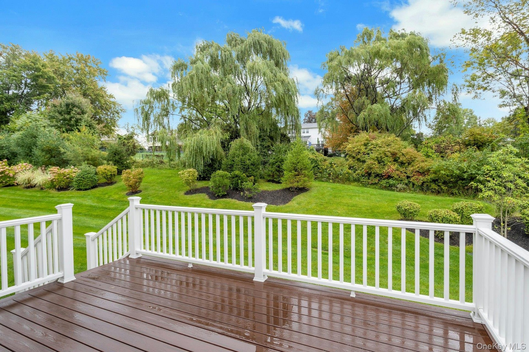 Wooded View From The Deck