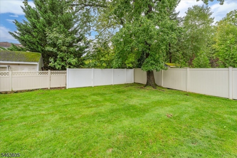 Rear Yard