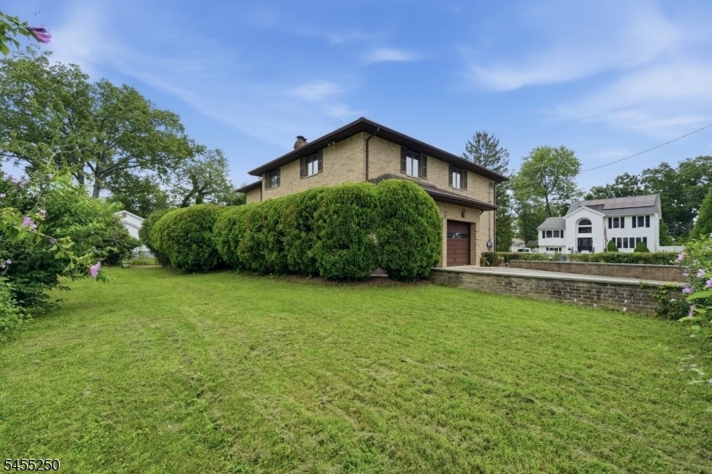 Rear Yard