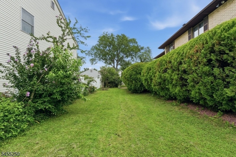 Rear Yard