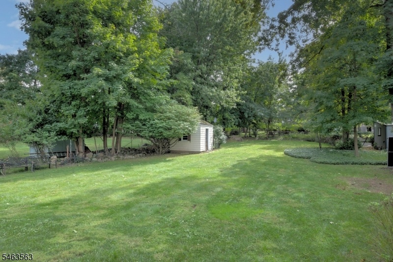 Deep Backyard