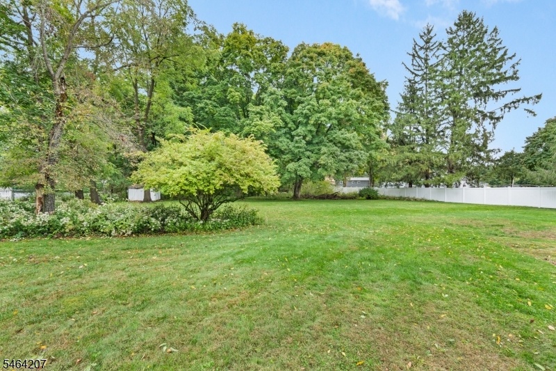 Sprawling yard