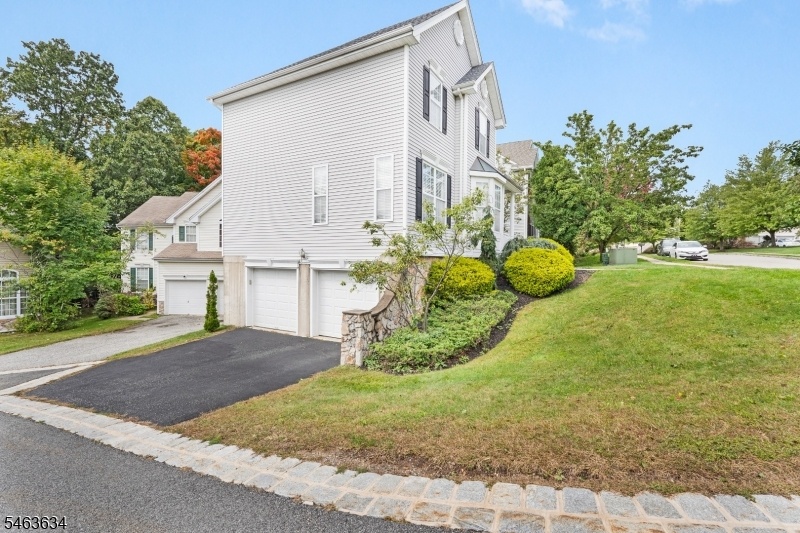 Side Driveway and Garages