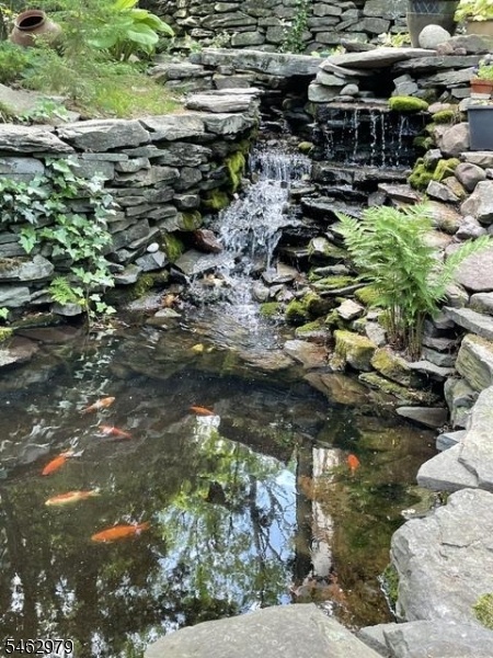 Koi Pond