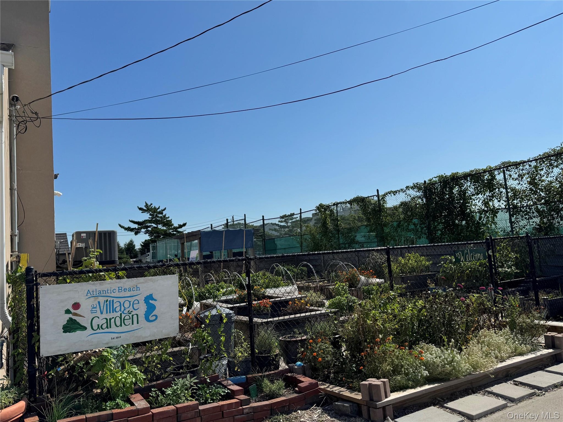 Community garden