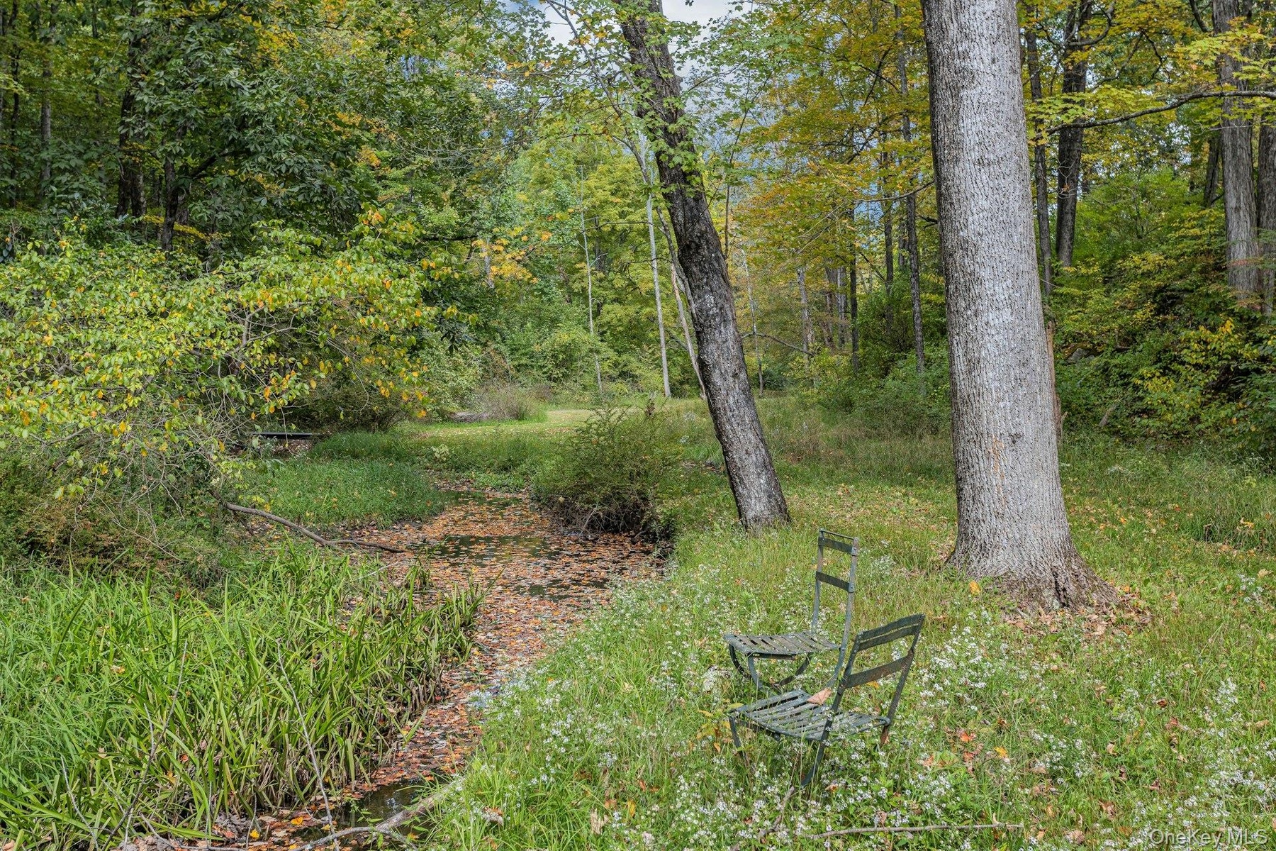 A Brook at the rear of the property giving close access to the 1,000 acre Wonder Lake Park. Donated by the Cushman family and named after his company 