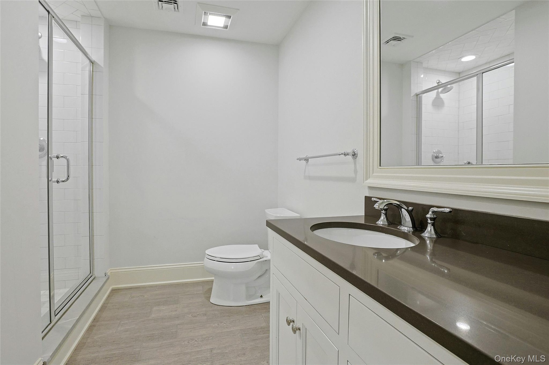 Lower level full bathroom
