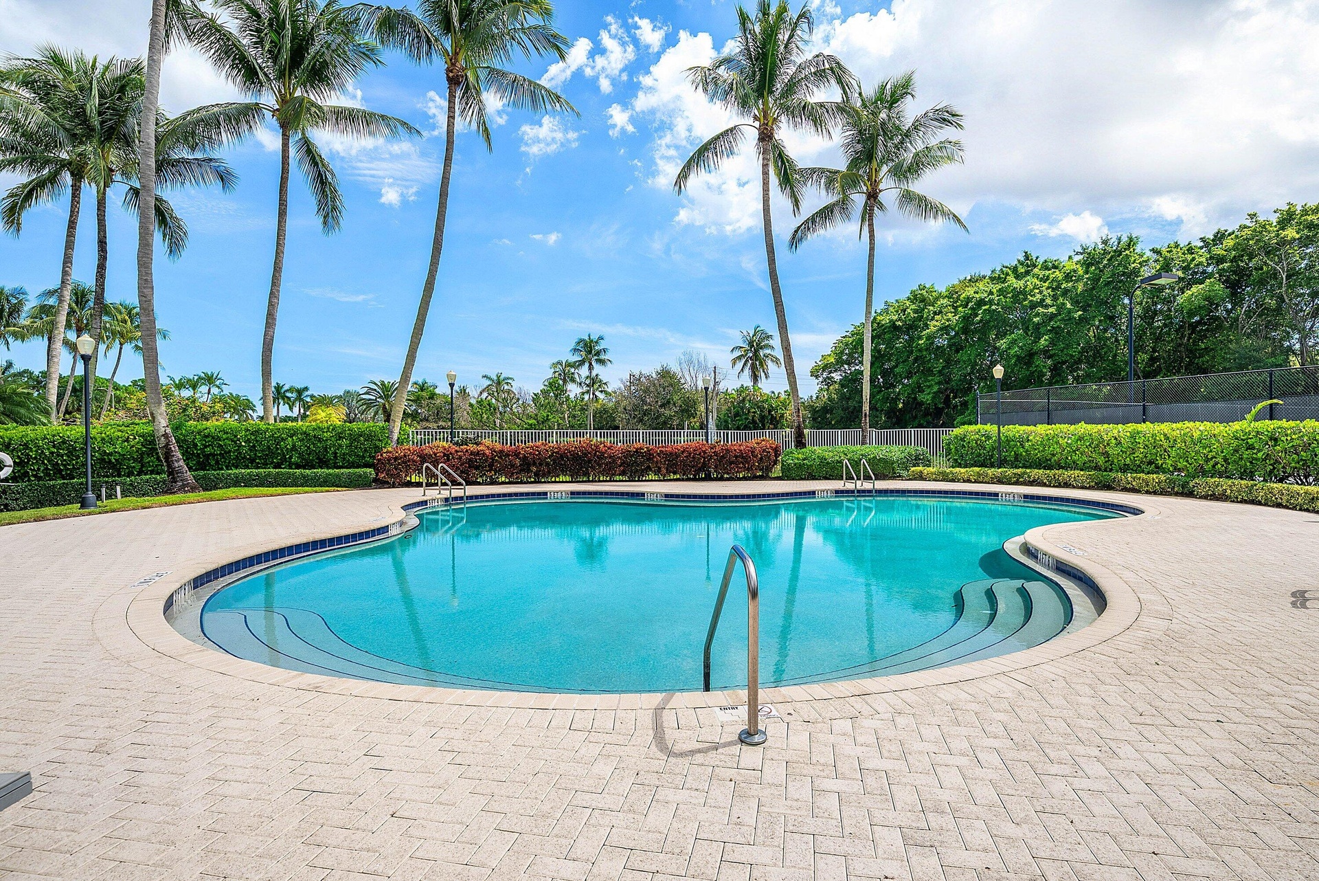 Freeform swimming pool with integrated steps, surrounded by paver decking and mature landscaping with palm trees