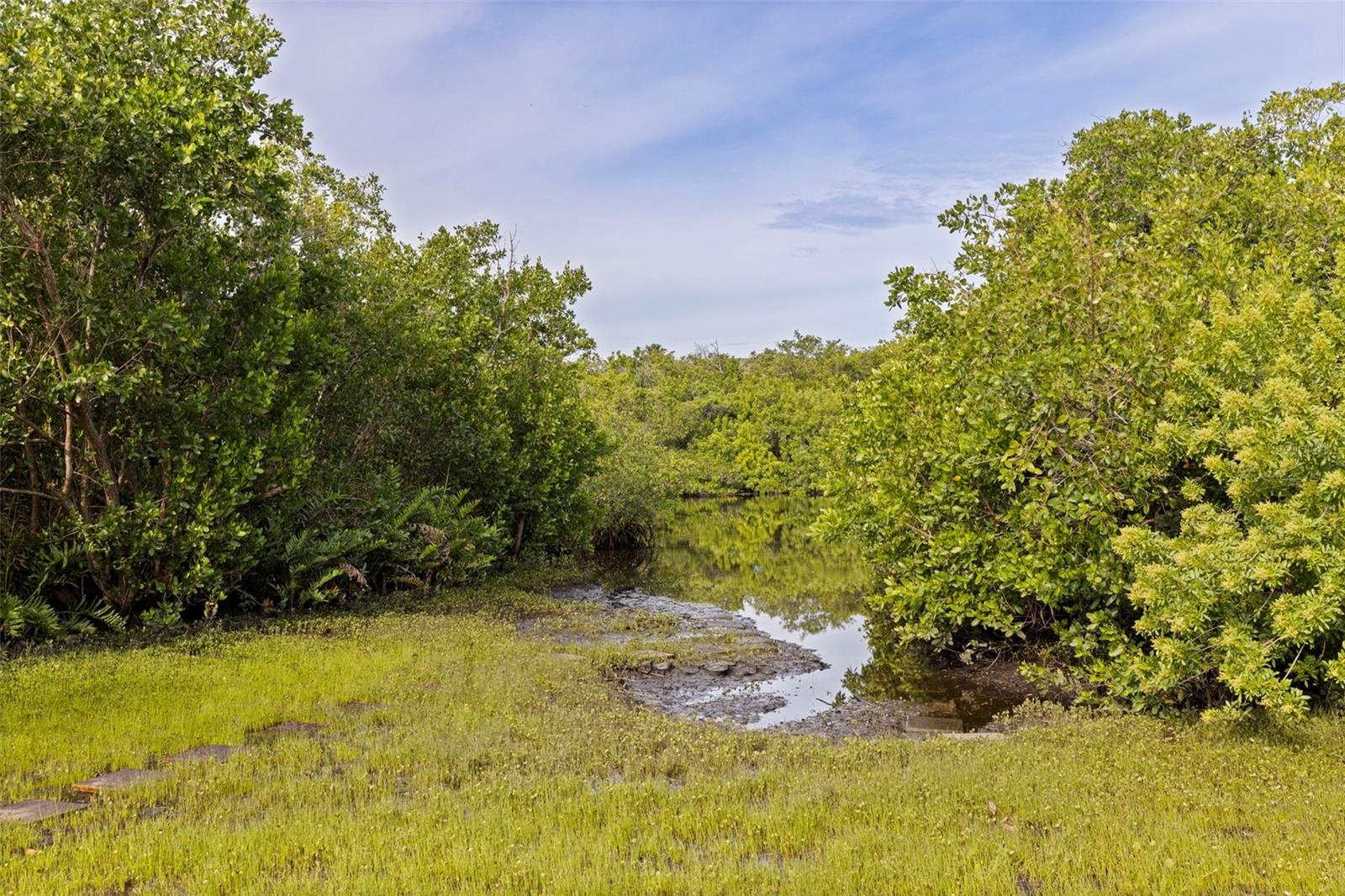Access to Long Bayou
