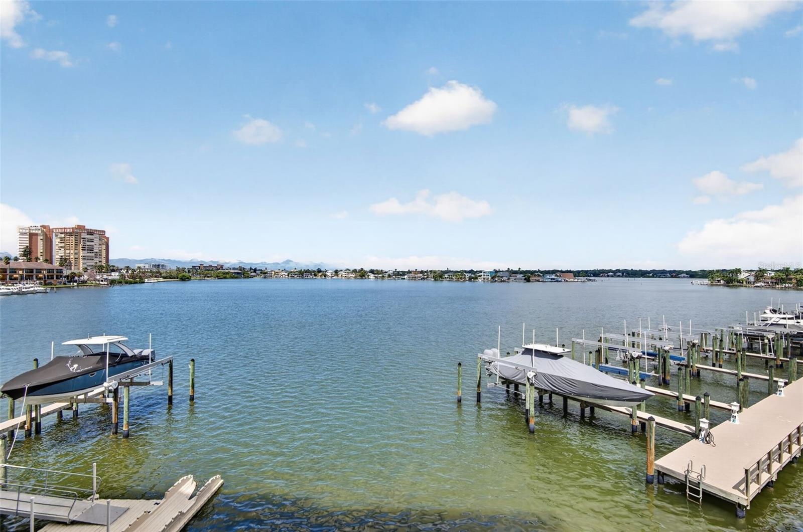 Watch dolphins & manatees in your back yard