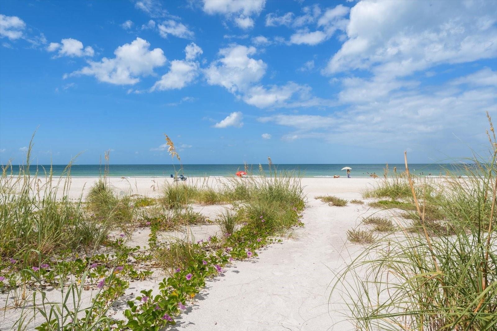 Enjoy the sugar white sands and pristine beach!