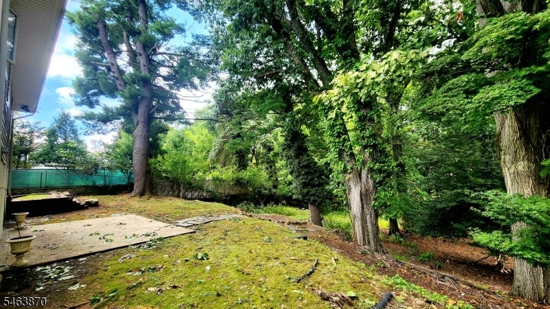 Yard with Patio