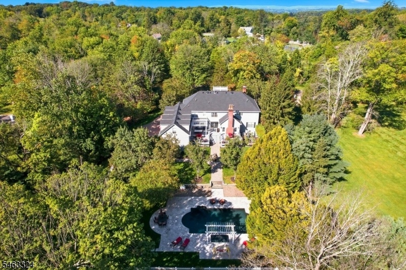 Aerial Back