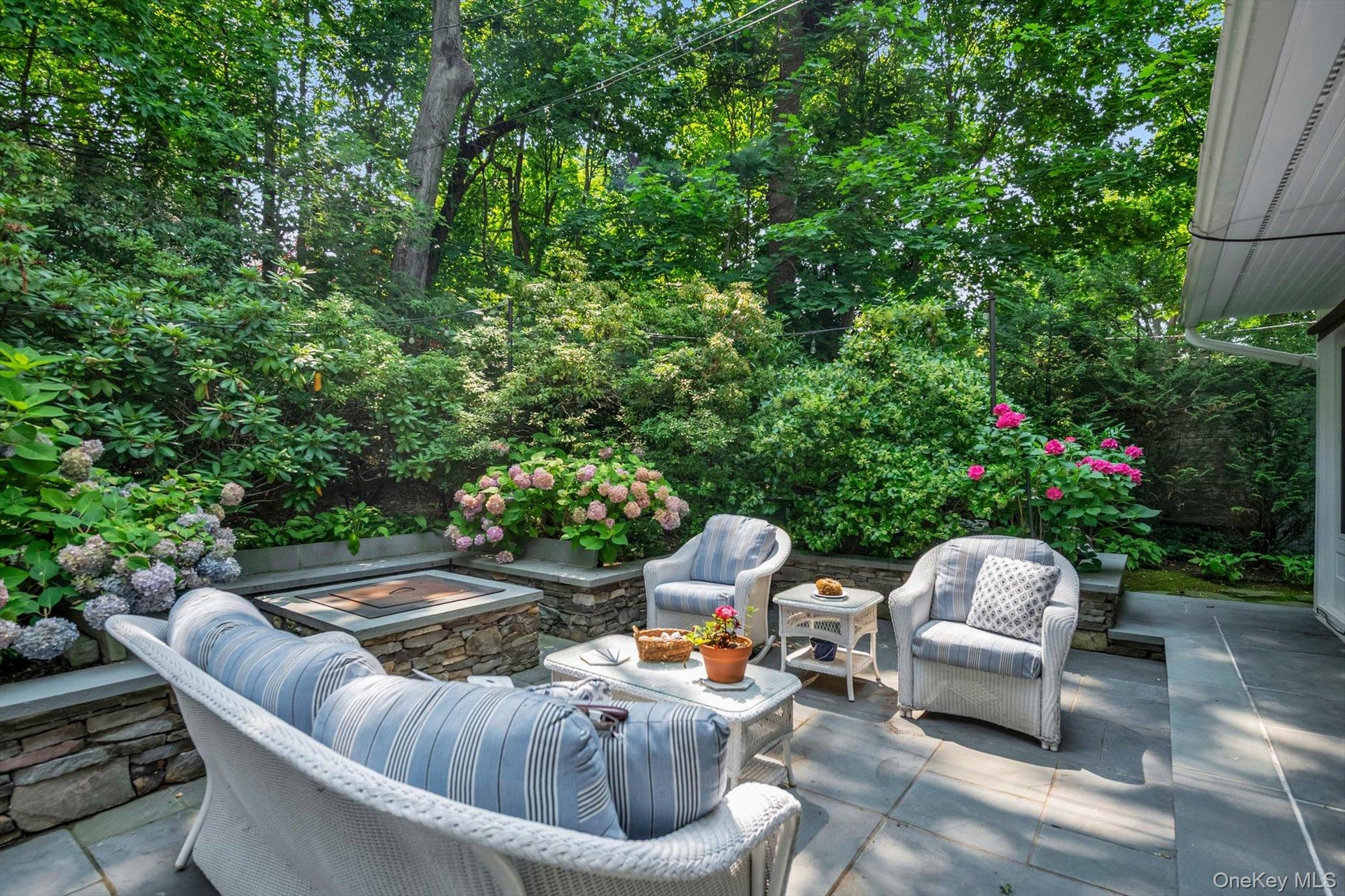 Back Terrace