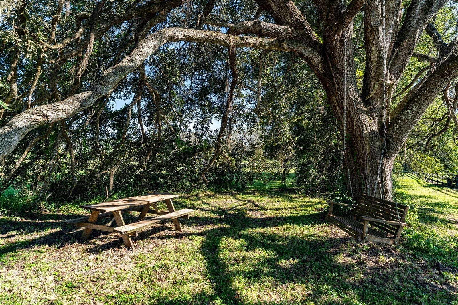 Swing and picnic area on property!