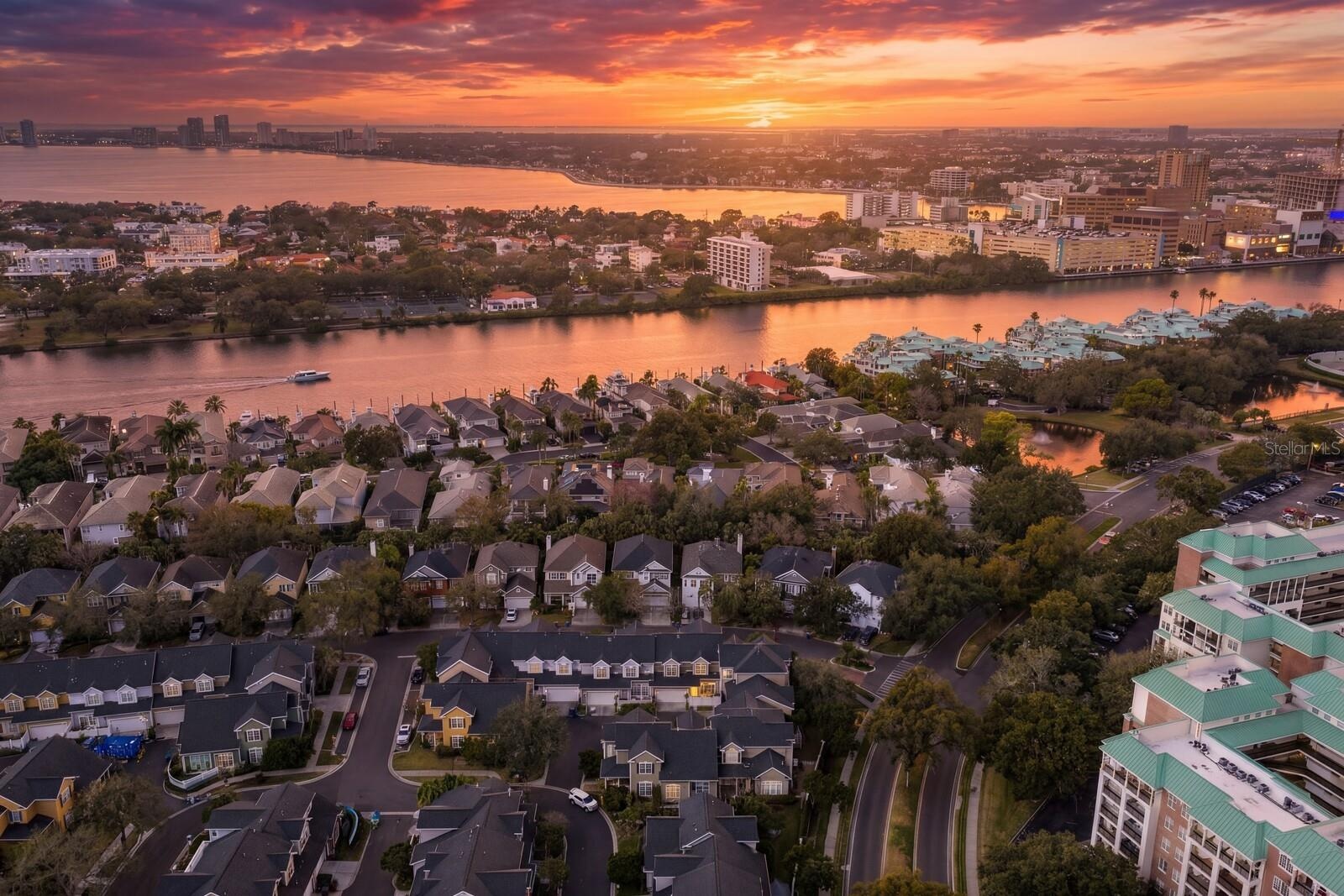 Tampa at Night