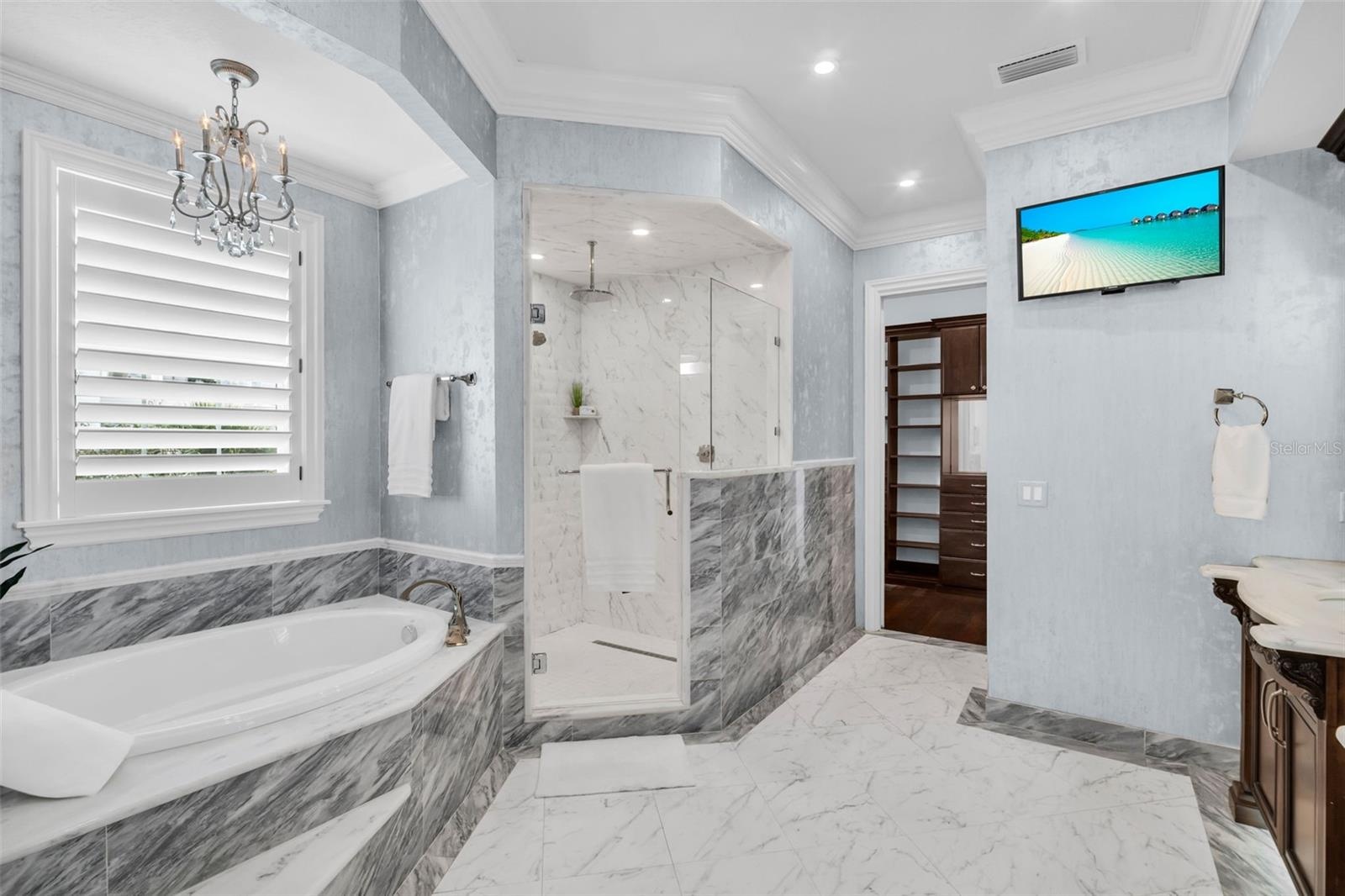 Primary tub and shower