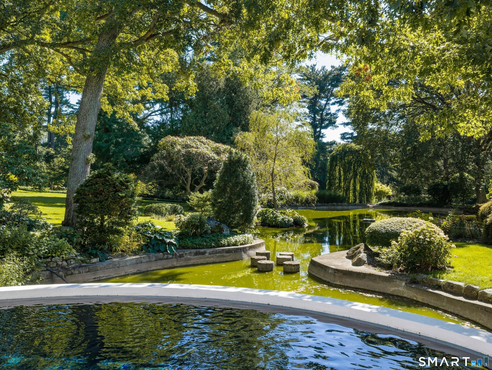 Pond