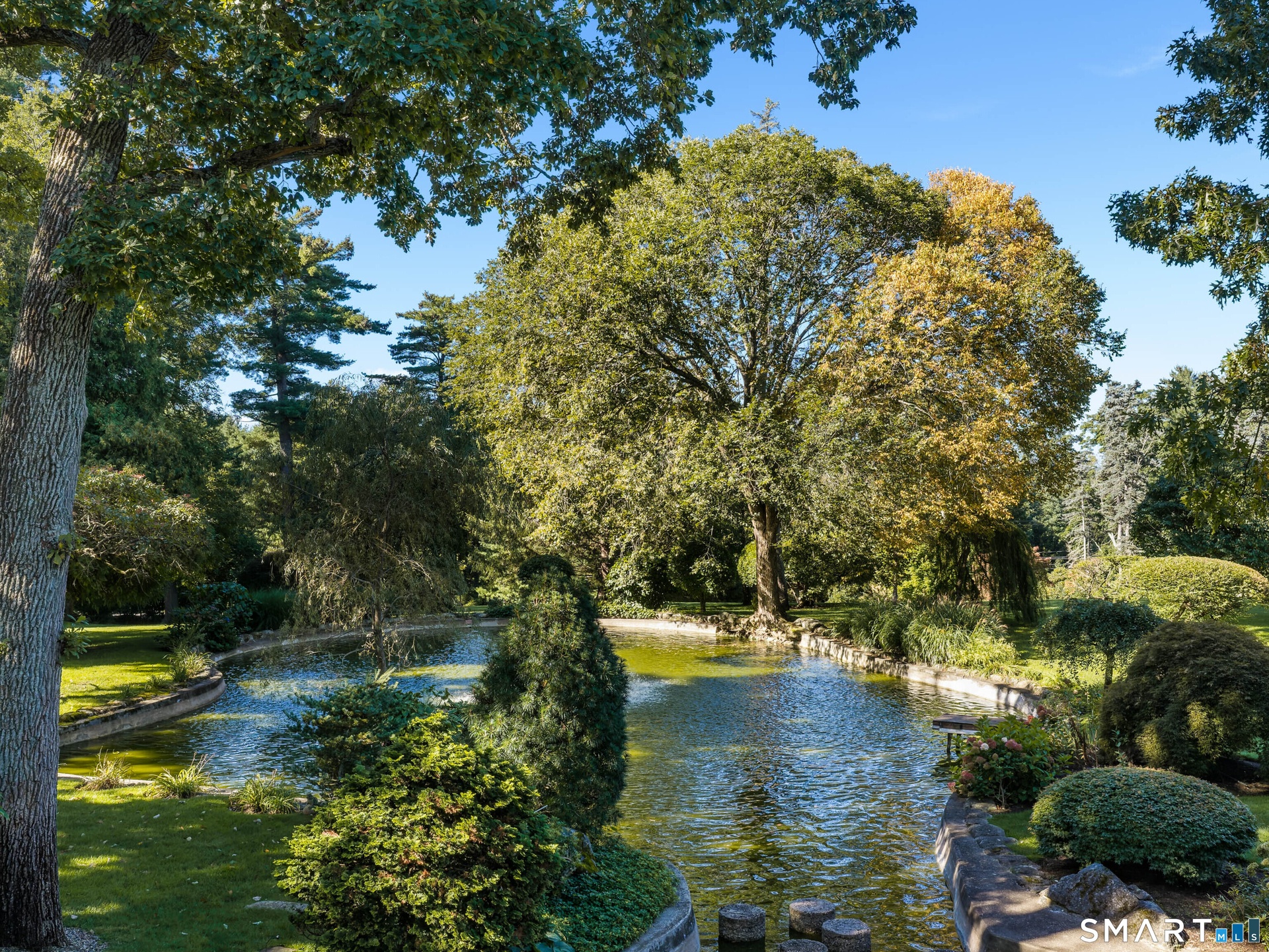 Pond