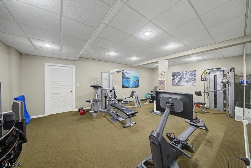 Family Room/Gym