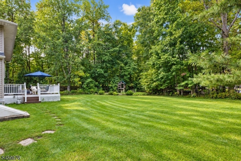 Expansive Yard