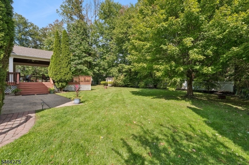 Patio/Yard