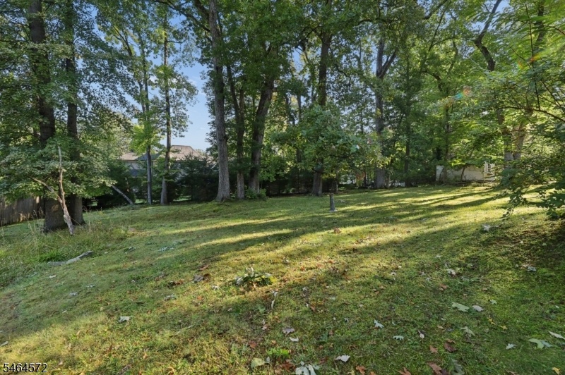 back yard