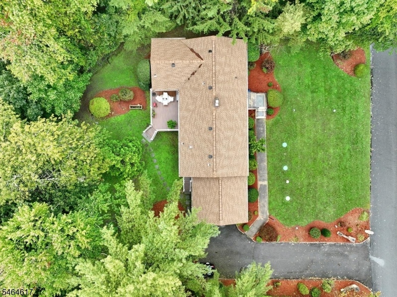 aerial