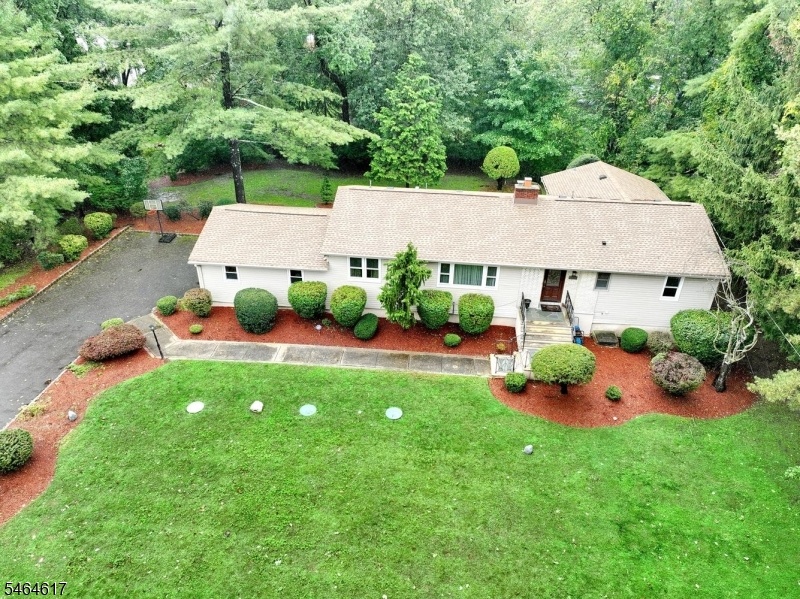 aerial