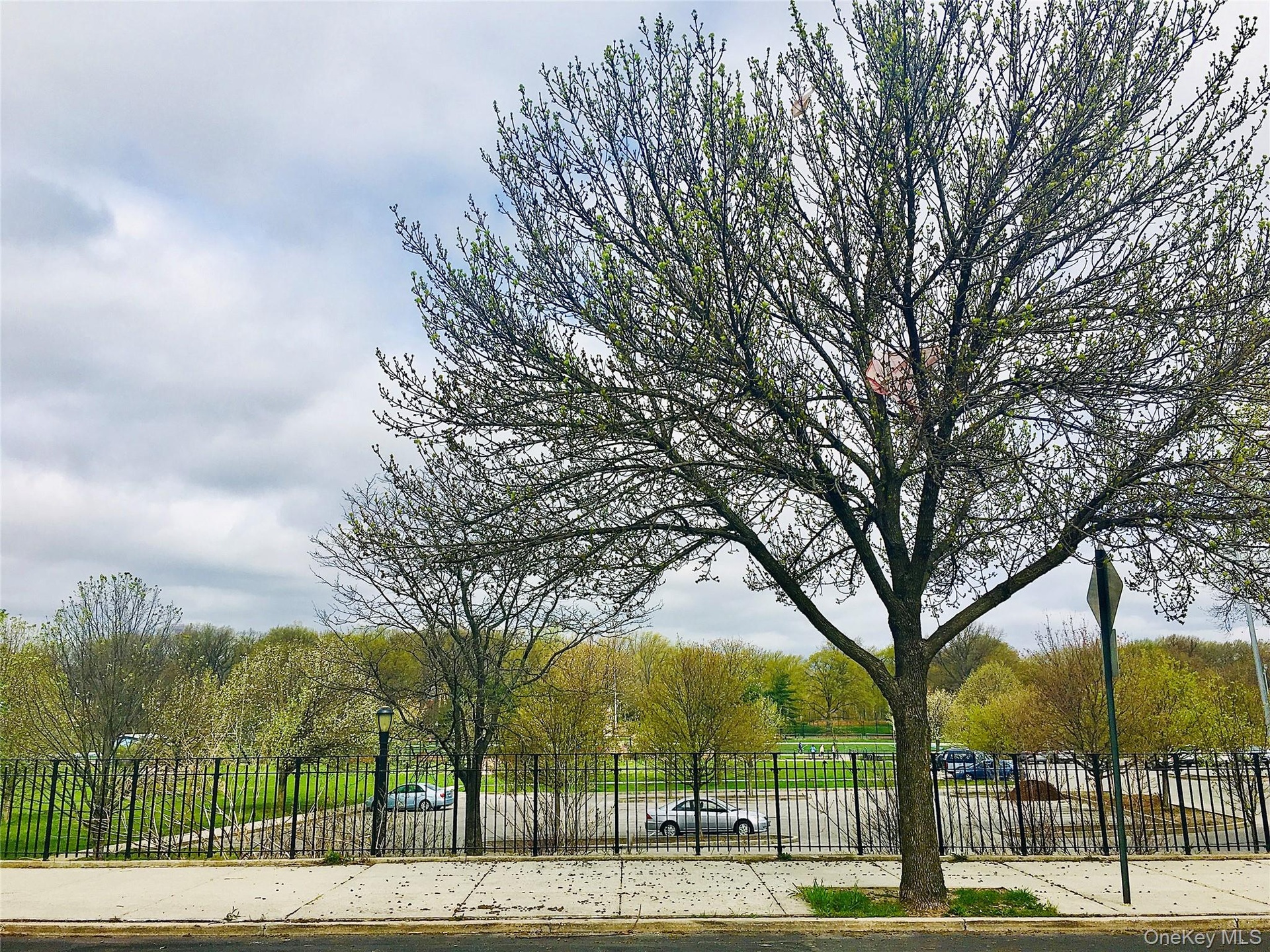 View across the street.