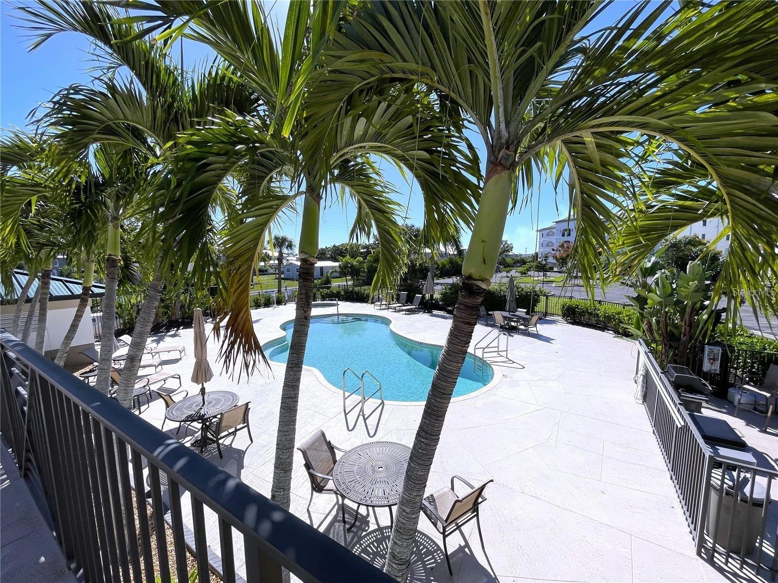 Tropical Setting