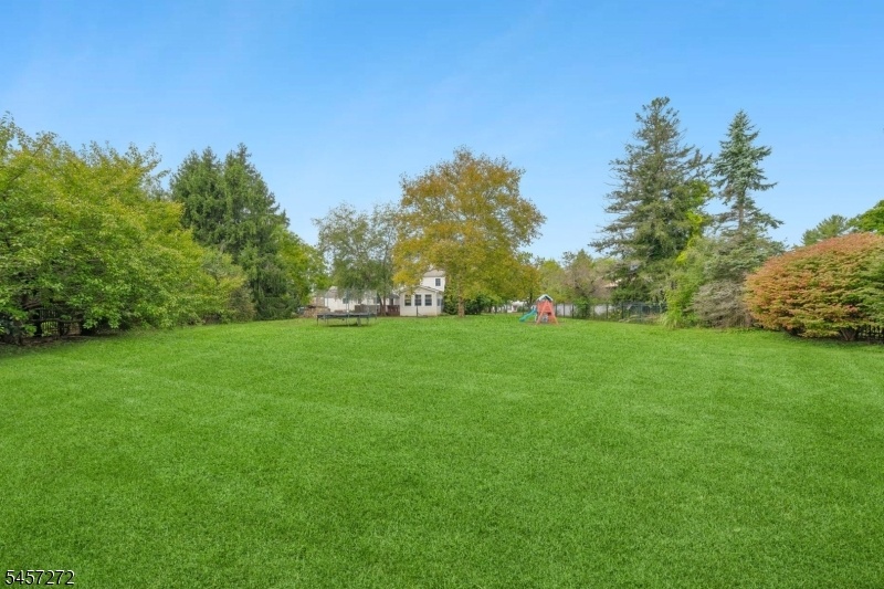 Rear yard