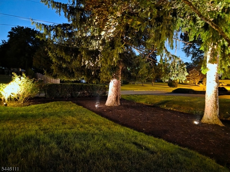 Yard
