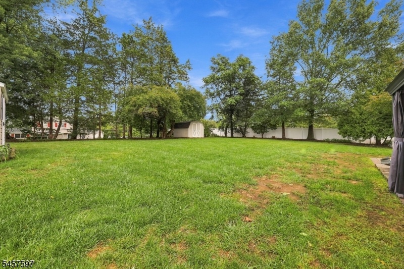 Yard