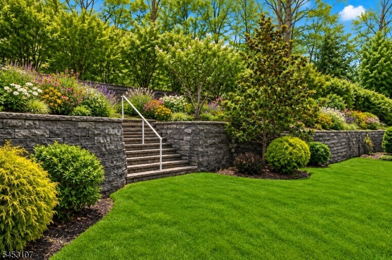 Backyard View