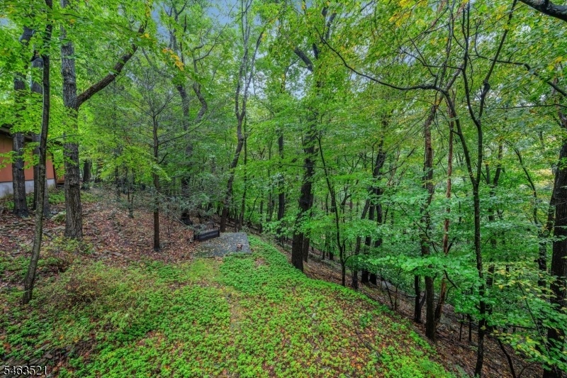 2 acre private woods