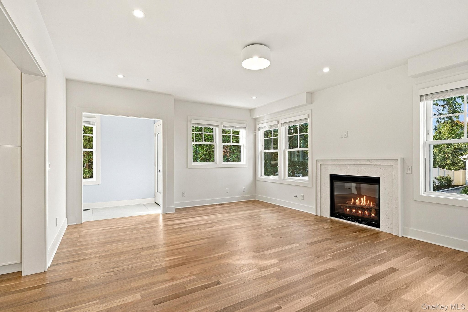living room with gas fireplace