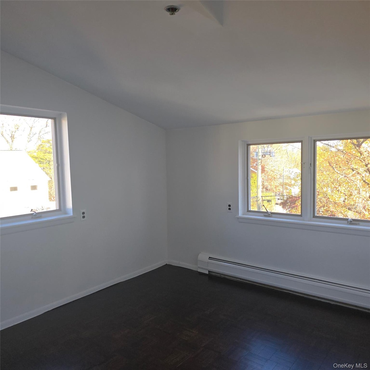 Unfurnished room with dark wood-type flooring, a baseboard radiator, and vaulted ceiling
