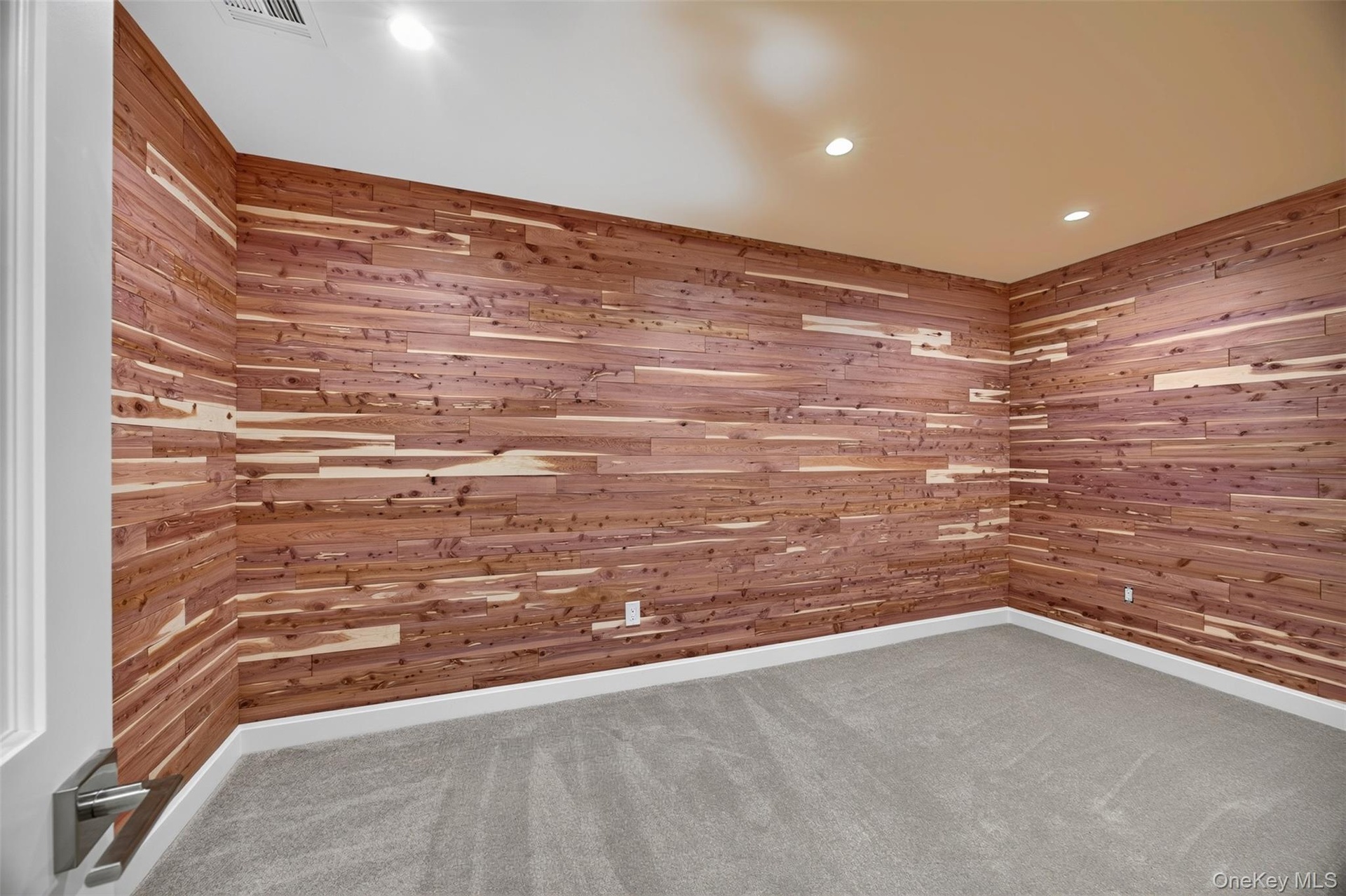Basement Cedar Closet