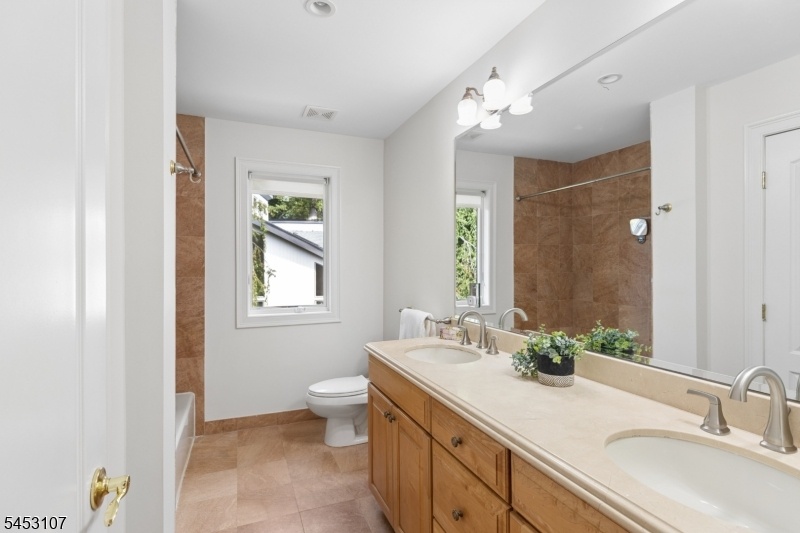 Full Hall Bathroom