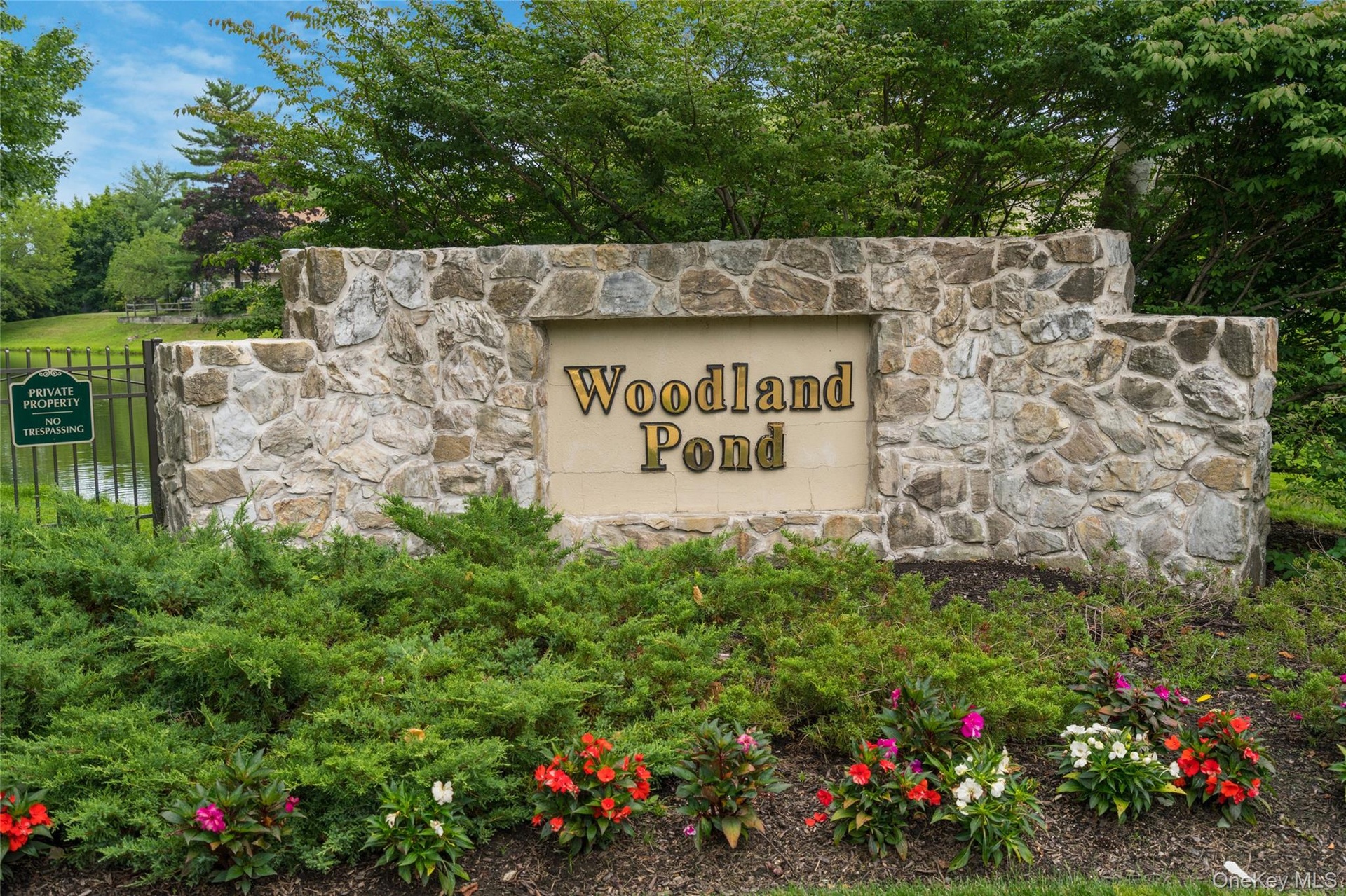Woodland Pond