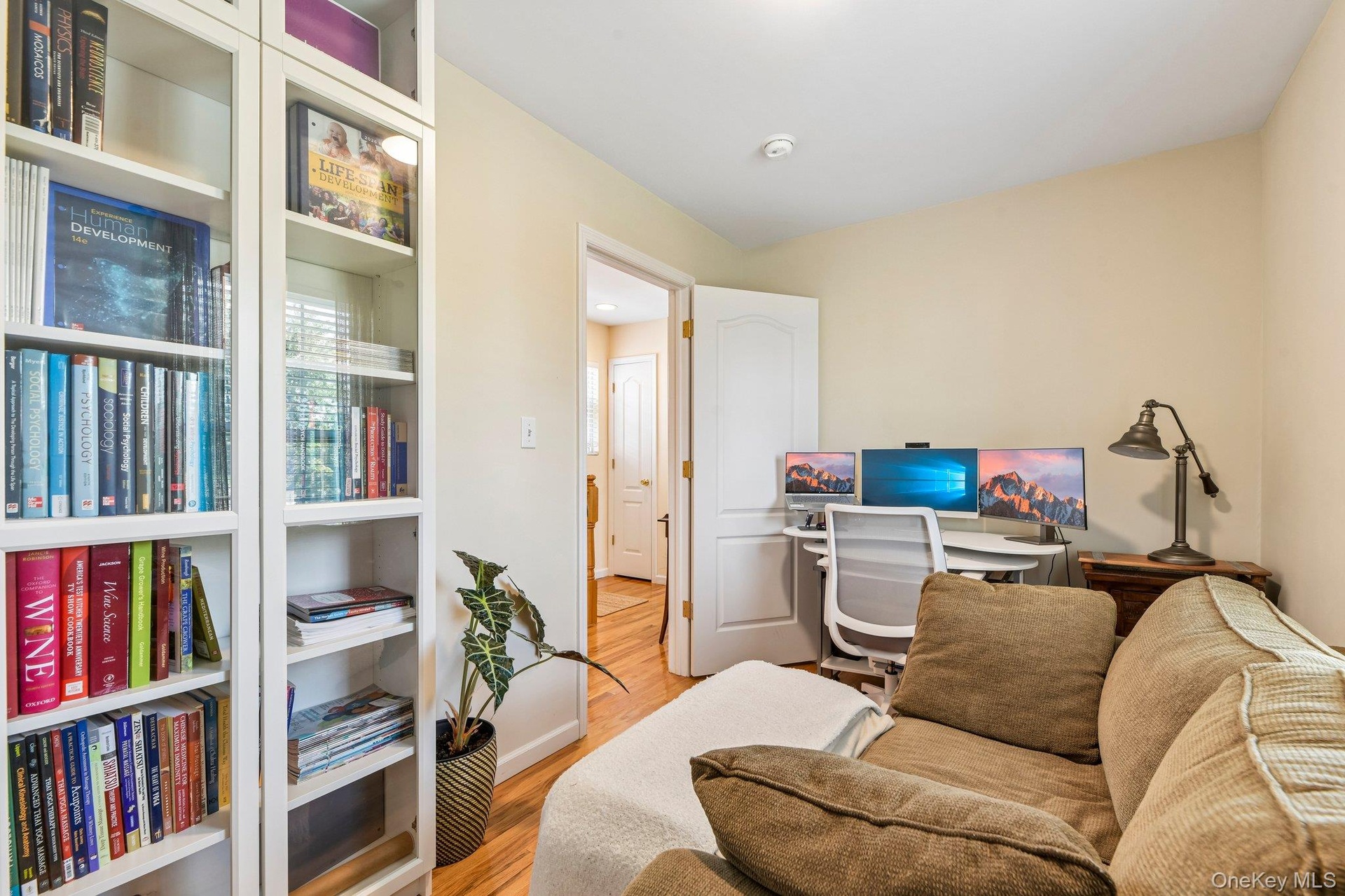 Den/office