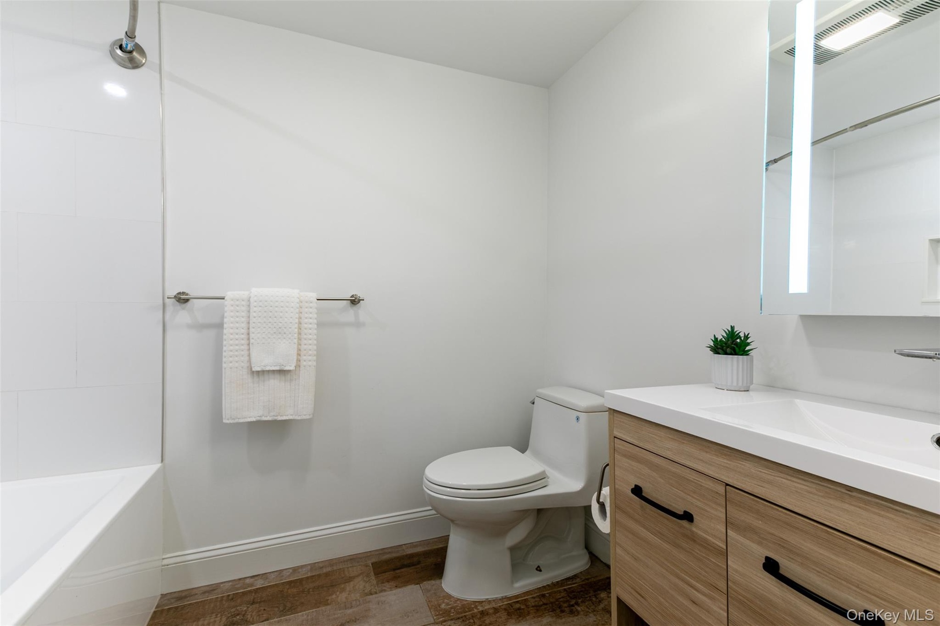 Lower Level Bathroom