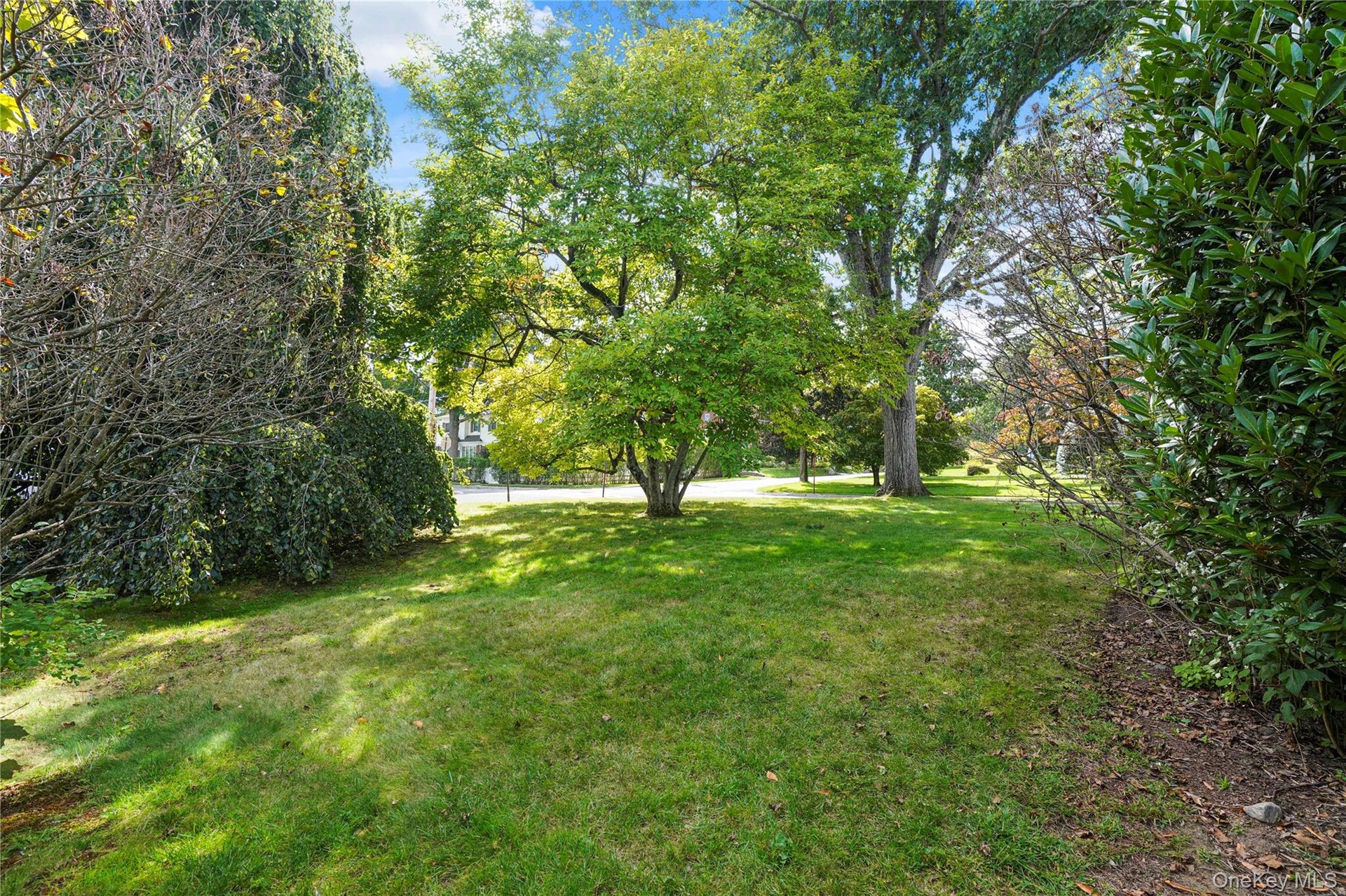 Great Side Yard!
