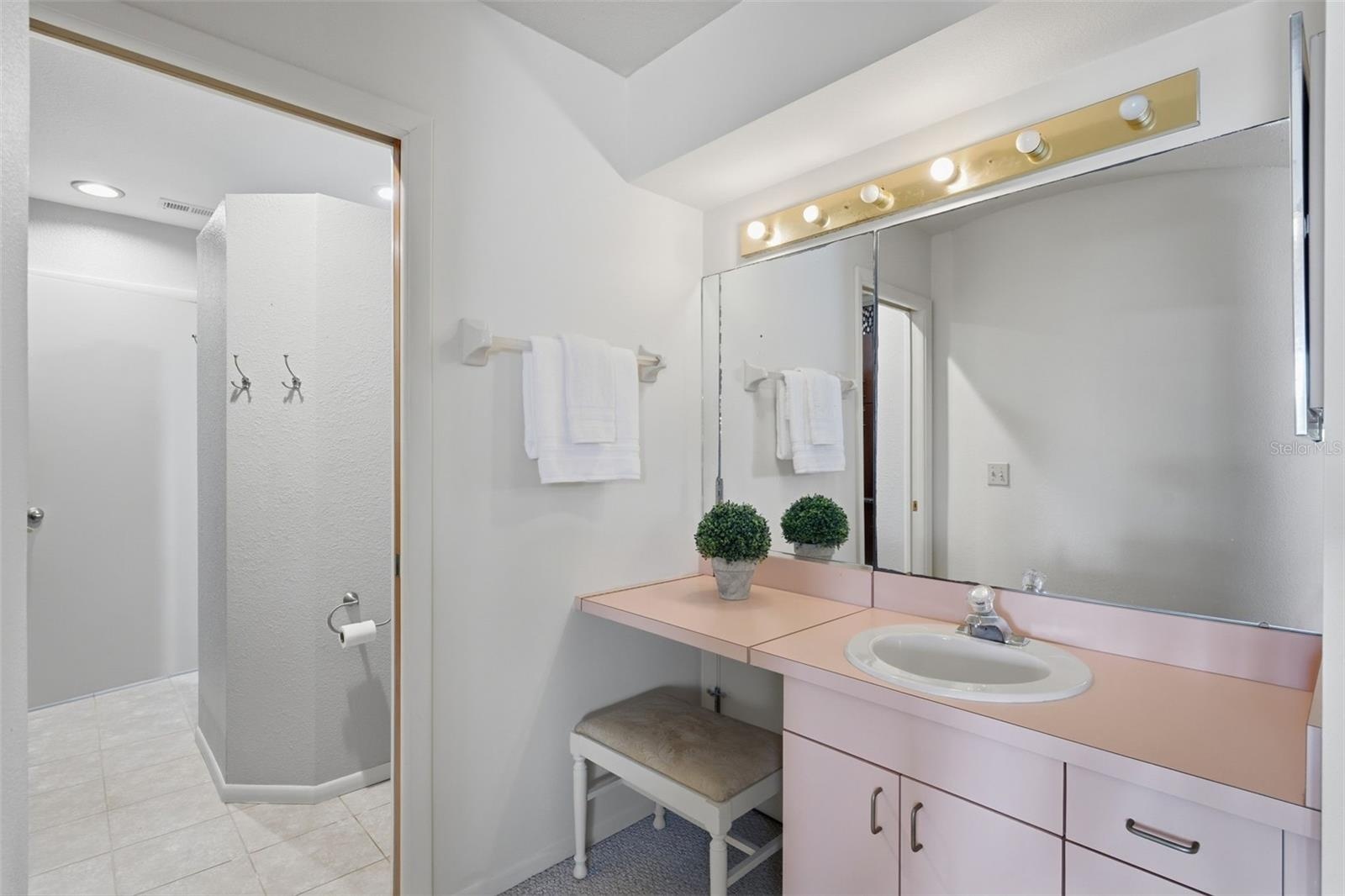 Primary Dressing Area/Storage Behind Vanity