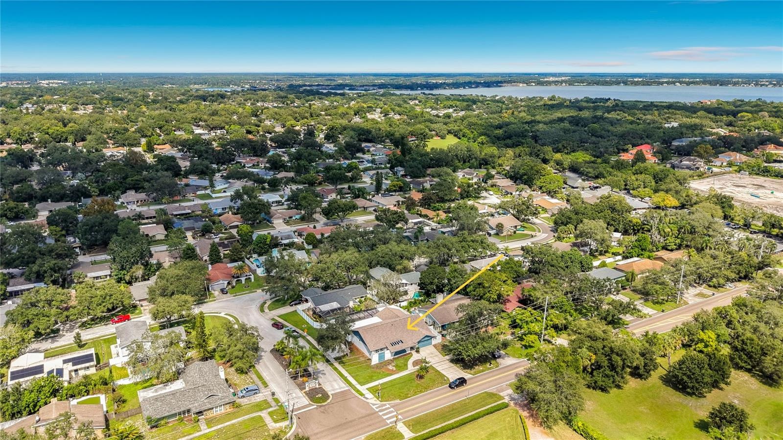 Near Everything in Safety Harbor