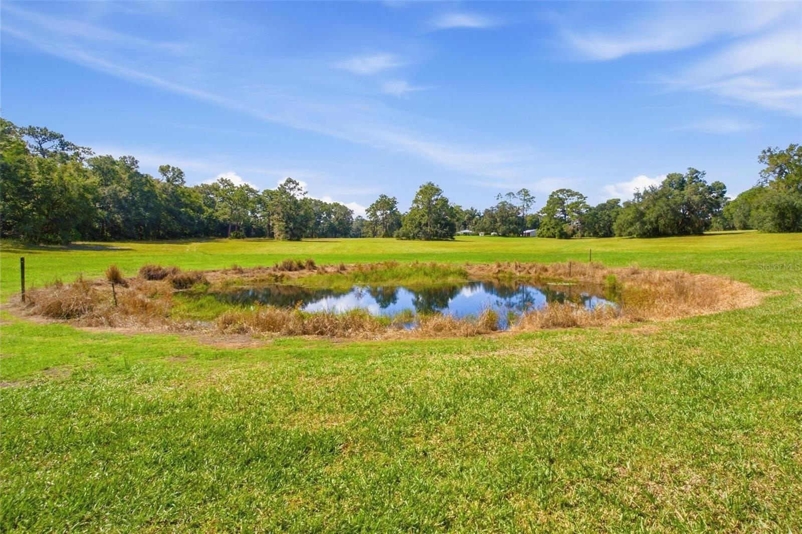 Historically a great location for a Garden!
